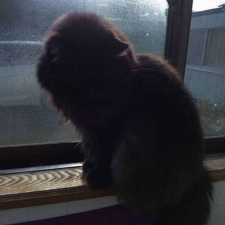 8ad524d2 ad03 4d9d bce3 8ae00486707a 1521979559871