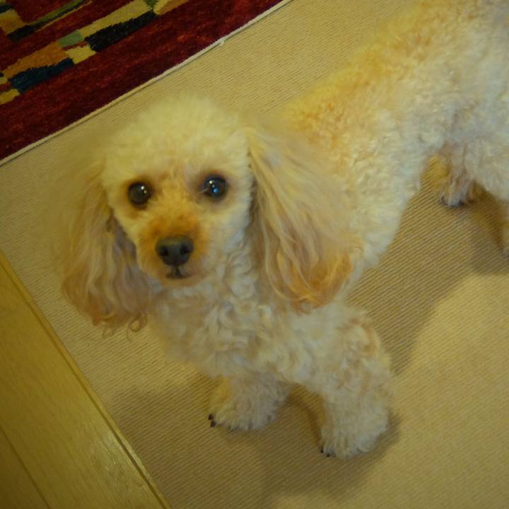 8ad5737d 1d17 474d bde1 36e3c193515b 1559827413941