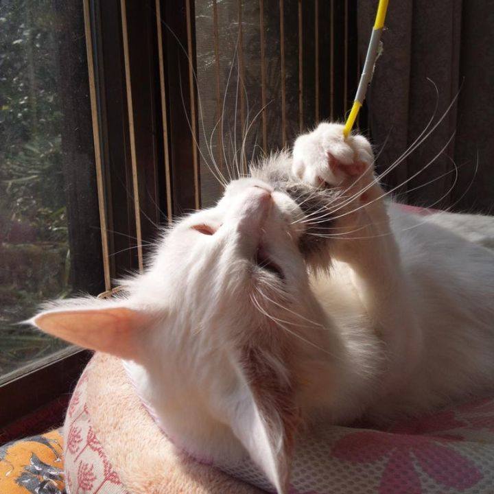 8ad5b70e a02f 4e74 9a2d 81693ed05d9e 1678006783747