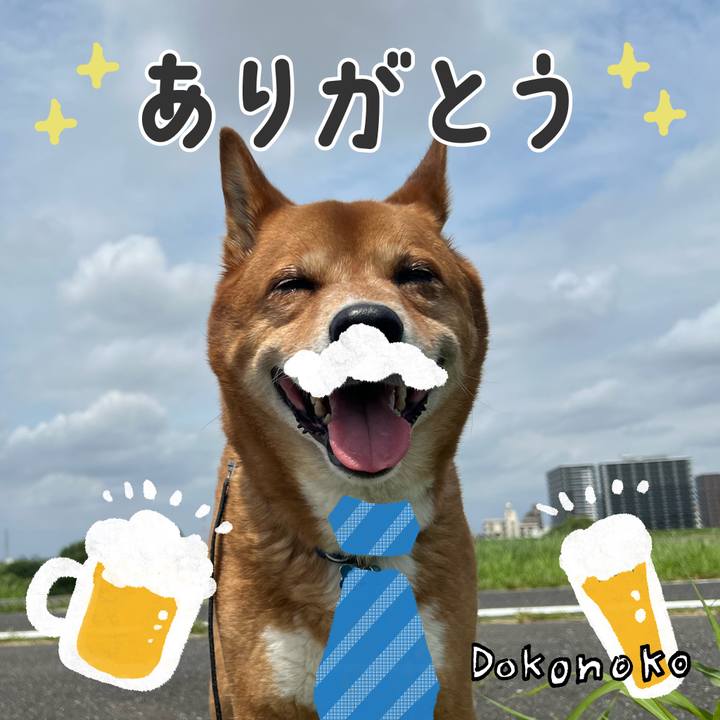 8ad5ce82 e376 4c67 9d2f f0367158a9e7 1717591131777