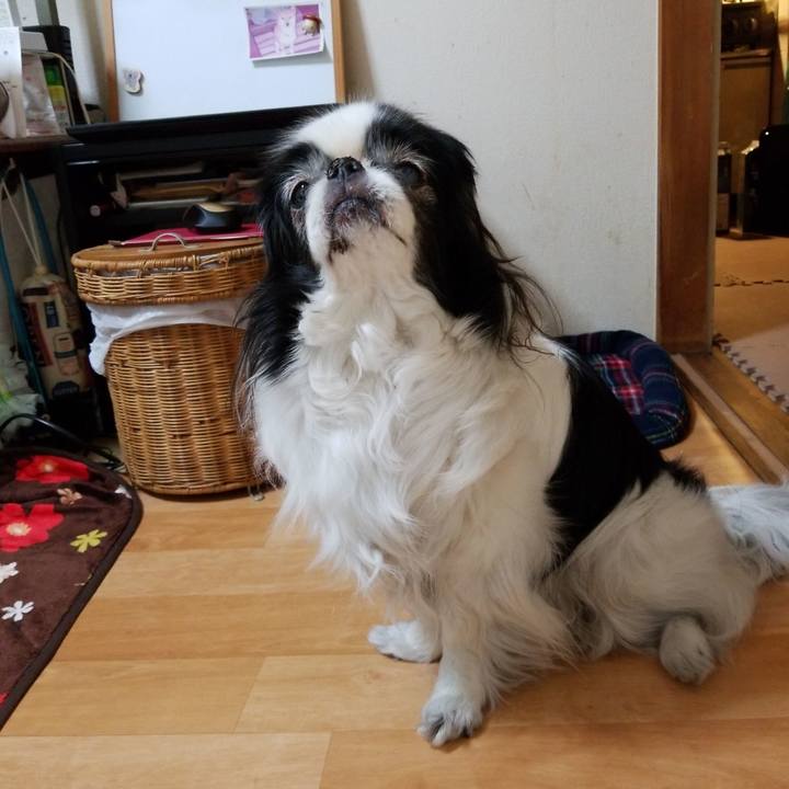 8ad5d76a 2824 4c07 86ed 91c886af55aa 1555238164097