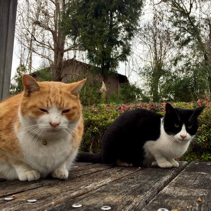 8ad6638d c673 4787 b765 bb601e93c5d8 1545465900605