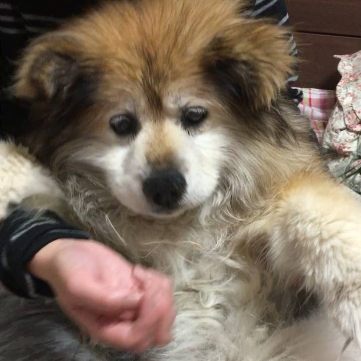 8ad69119 8bdc 42c9 9650 29cb22c8360e 1609948577191