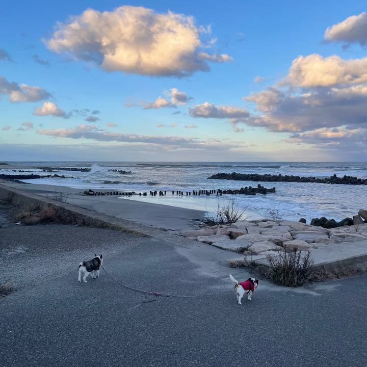 8ad69e0c f74b 4132 8084 72e73fb5ef8b 1764371371447