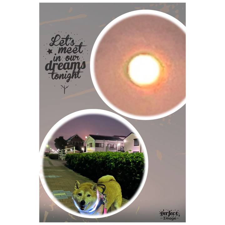 8ad6aba2 61b3 4c25 a00b c2b228d0ad85 1695982837190