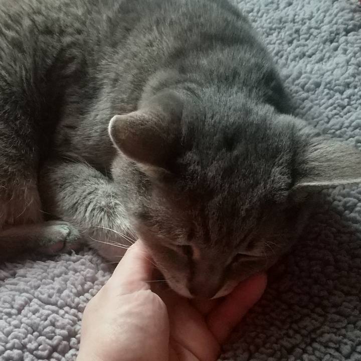 8ad6b4b9 7ffa 4c1e a12d 2c84a09327b0 1680423975783