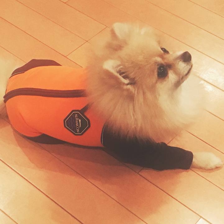 8ad6da5b 65b0 45e8 a9ab c40e984f5d65 1514722956509