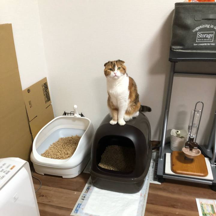 8ad6e290 e66a 4b97 a737 8616a530c926 1568468402227