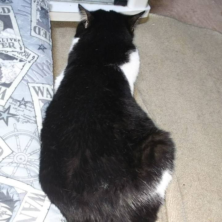 8ad6fab0 e1b1 4c7b adc1 50cc35569e5a 1534034412711