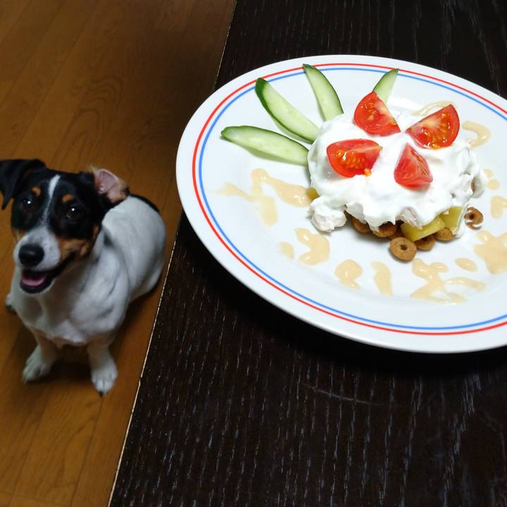 8ad70ca9 0133 4789 920d e367799114db 1629029218243