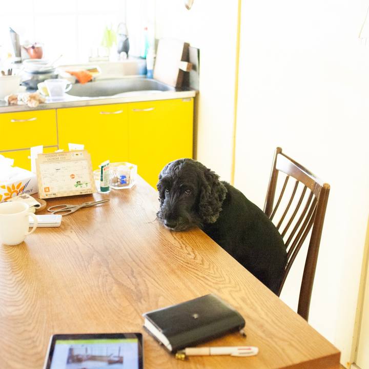 8ad73912 b267 452f 82b2 c38e83748f6f 1573277642919