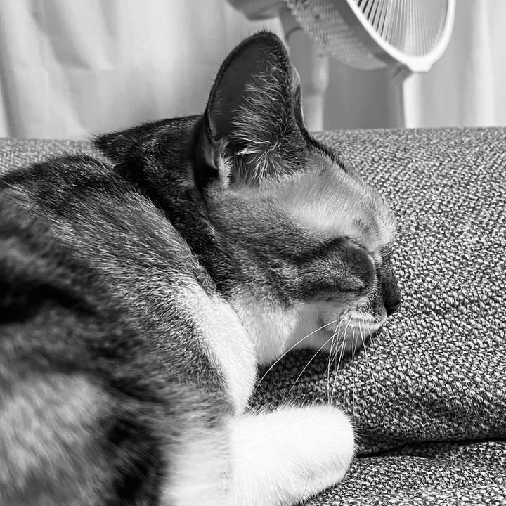 8ad797a4 4004 4792 b4bb 2ac9b0ac1d31 1760698862670