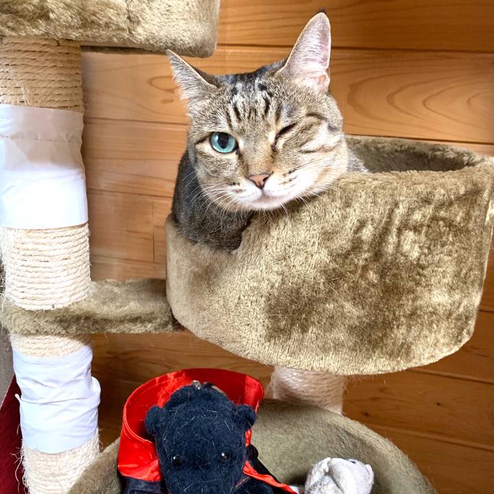 8ad79eff 006b 42e0 8fd0 992c29da70d8 1590136471401