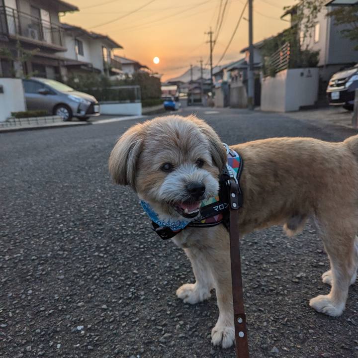 8ad7a9cd e29a 42fc 873d 5a65c10402ac 1725400901094