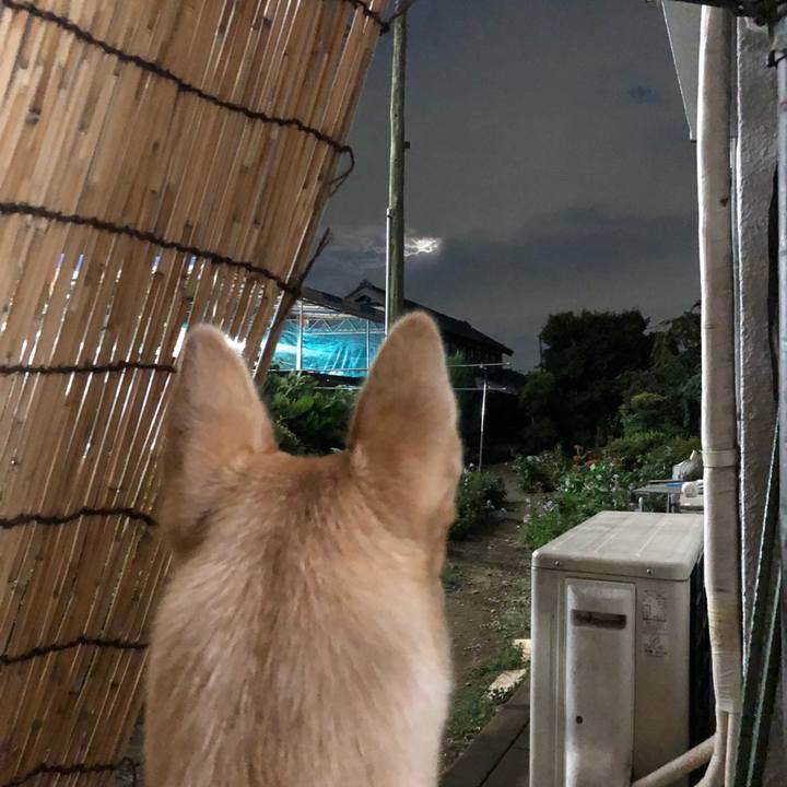 8ad7cd38 f153 4735 879f 1c1685bb492f 1535191538066