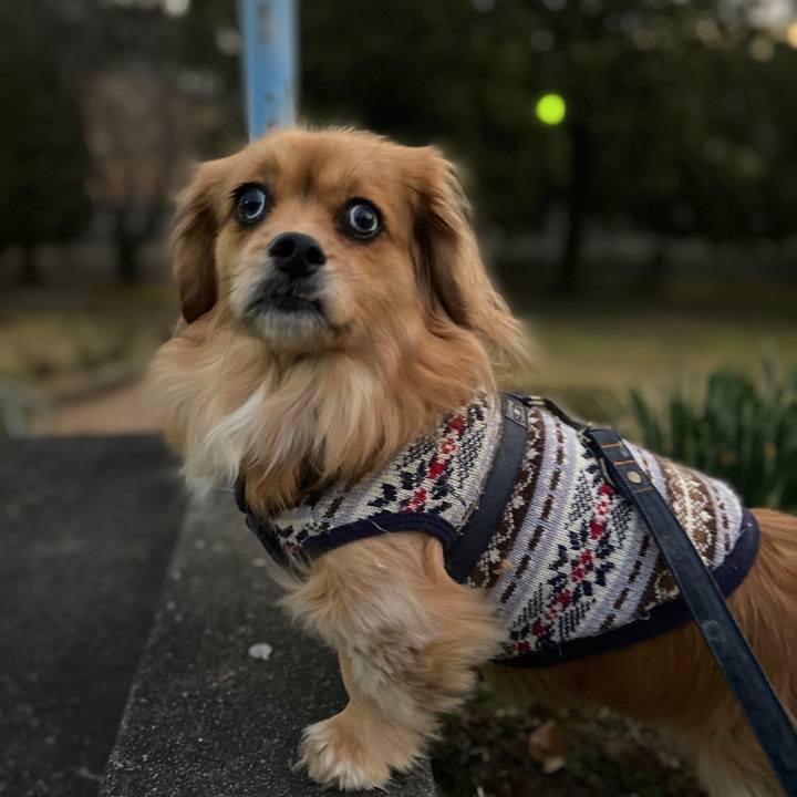 8ad7f059 41c4 4676 99cd 024957eec008 1579644647334