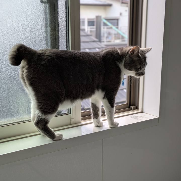 8ad83b31 1ab7 4006 80a3 e0459582a55a 1755258528078