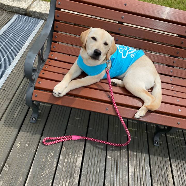 8ad86b68 59e2 46e8 a2a4 80d51514b2c2 1620620545344