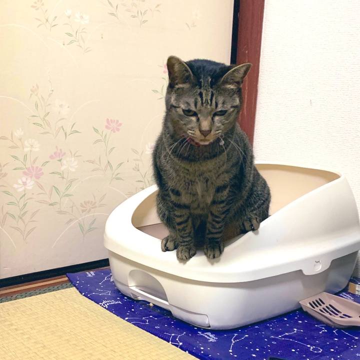 8ad8832e d48b 4407 ba76 75047ff8ecae 1574234404265