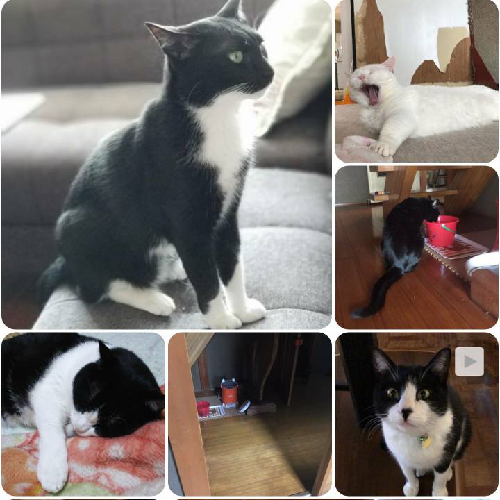 8ad88597 a783 4738 9fd9 eeba0bf216e4 1561368271586