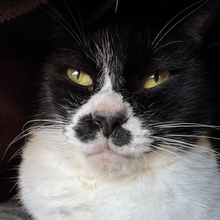 8ad889db de63 43fd 834d 8dc4d9da050f 1765758912976