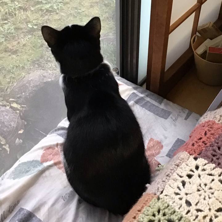 8ad892e9 ad77 411b 8603 eedeaab4a45c 1636276796088