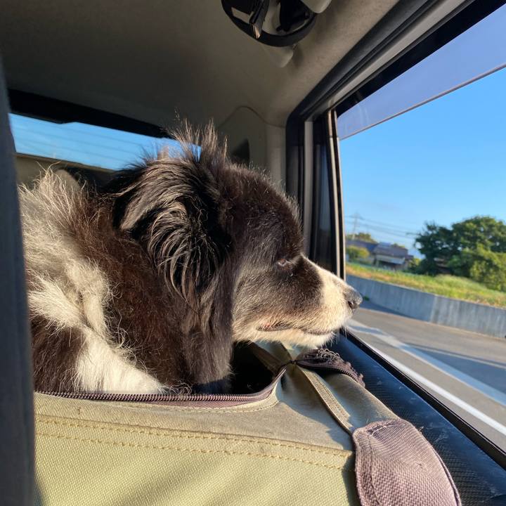 8ad8b87b 1e68 458c acaf a02cb479cb99 1693778509434