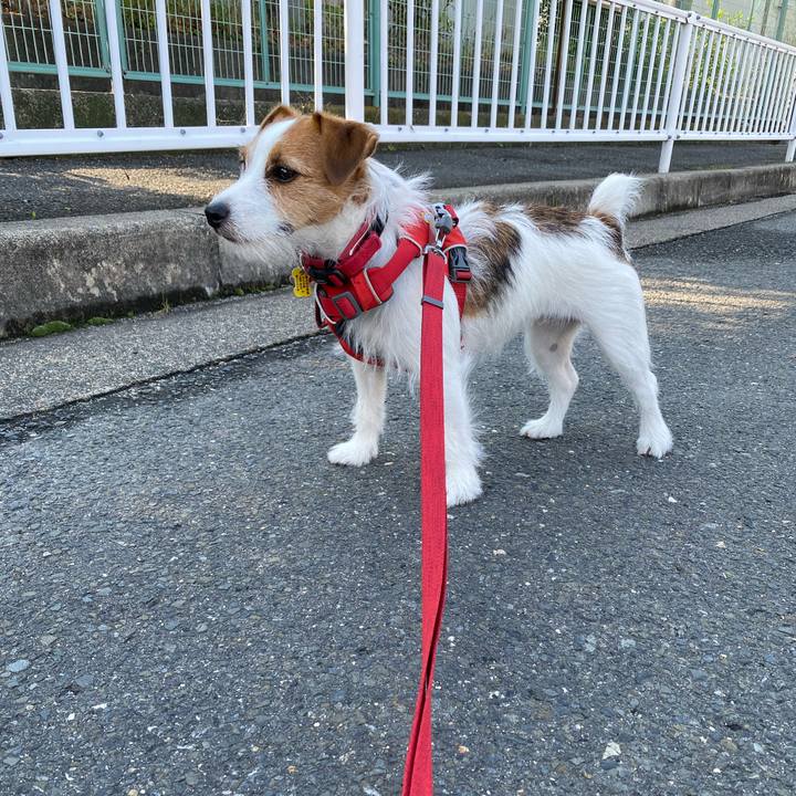 8ad8fb10 da14 4d5b adbe ee9cc5b8c5ee 1653258705657