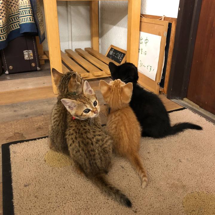 8ad907c7 4f2a 471e 9e27 f5b446b9fc68 1590723358680