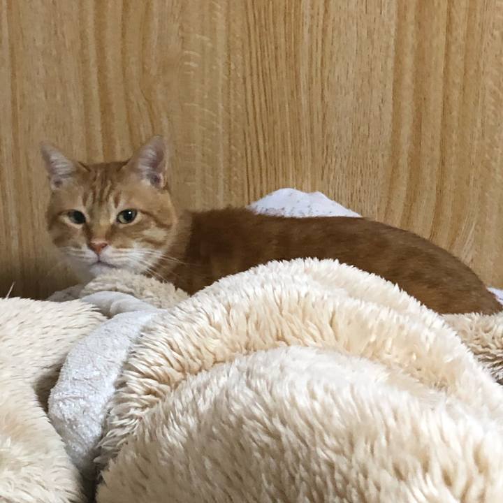 8ad954e0 757d 464d 888d f0d676ee7ed3 1605173164324