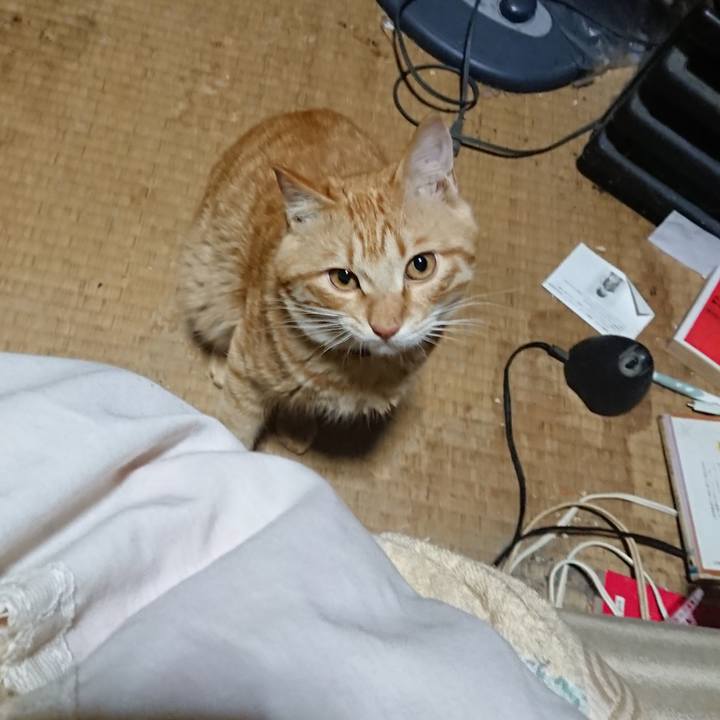 8ad9689a f2fa 46f2 a7b8 2ed4e83461b4 1647290882595