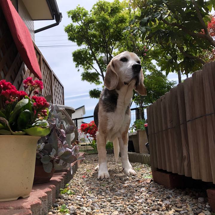 8ad9858d 8e09 4714 bd6d 32582ad19b74 1588657200736