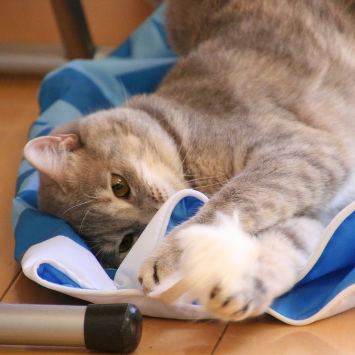 8ad99e5e d323 488d 82fe df45cb96366d 1510281961328