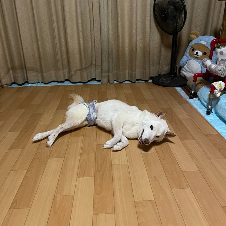 8ad9a1ae 1f5a 4173 82dd 1f0ea227cd13 1662221098174