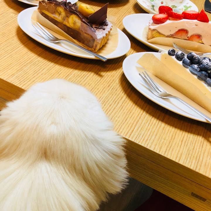 8ad9a242 3ebb 4cb0 b21a e4421d4f40fa 1584530802672