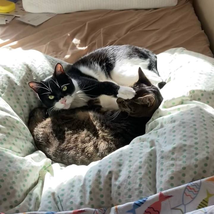 8ad9d1c0 1da3 4579 93f4 42b194d44e65 1718771092915