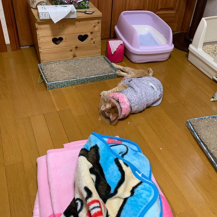 8ada52ab 3d1d 414c a4e6 553dc052efcf 1621110077468