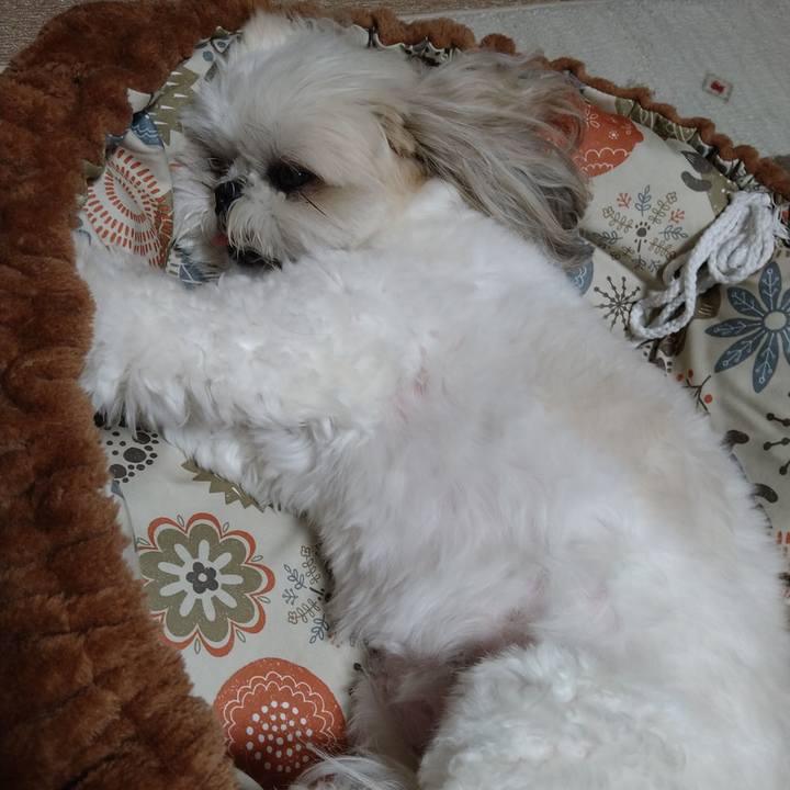 8ada5af8 9e43 470d a2b0 39d2c45219da 1653731555958