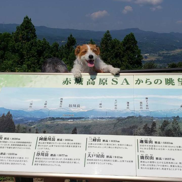 8ada91d5 c19b 45e1 82b8 547b38b2b186 1598050179686