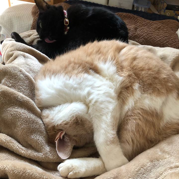 8adae7c7 311b 4590 be3a cac40b161c77 1579420829902