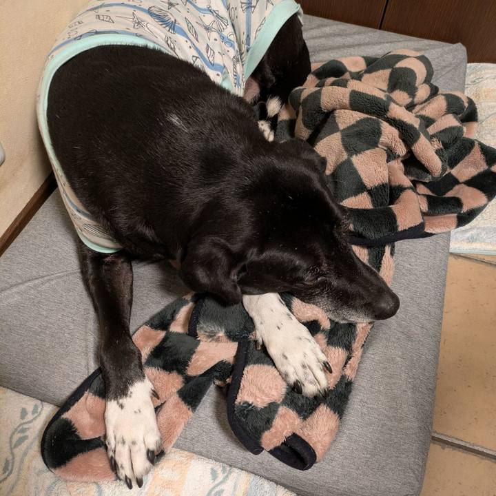 8adafd63 d54c 46aa ba65 bdeaaf5fc8fc 1738282818603