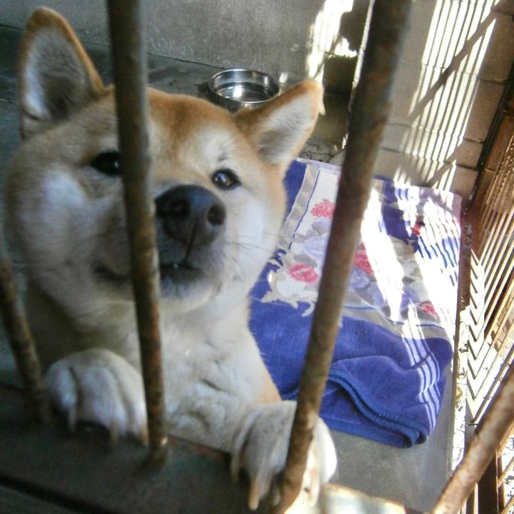 8adb2dd5 cee9 4194 9be9 990a7b59ec9a 1635237161818