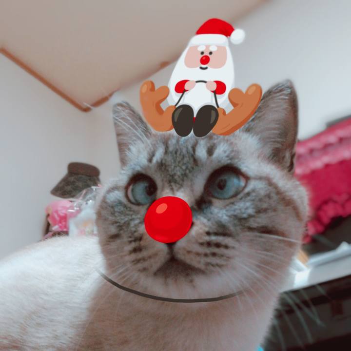 8adb645a 712b 4eb5 b256 db16b7677642 1576222969493