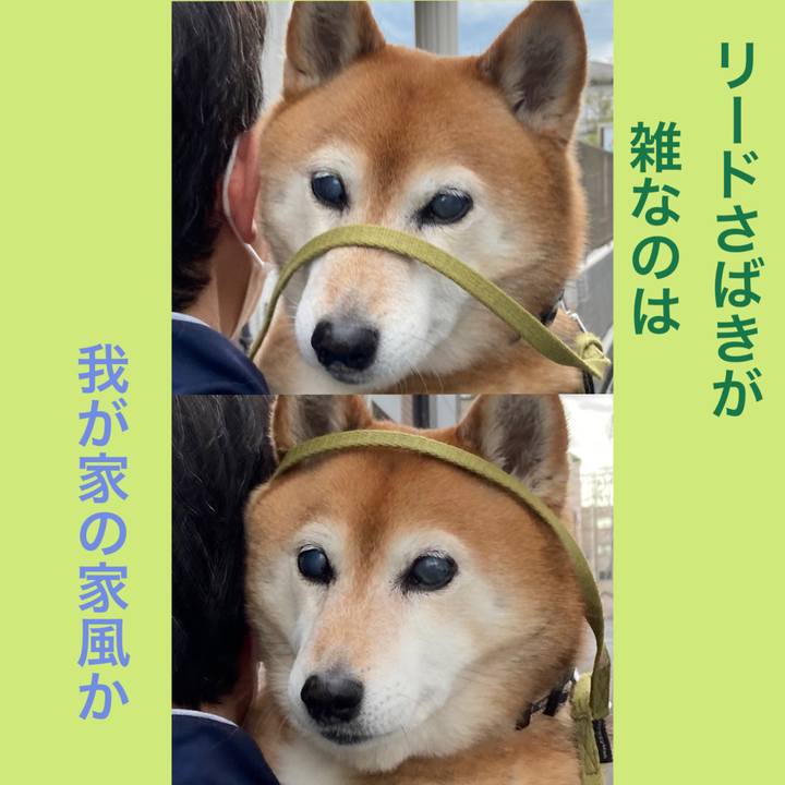 8adb64e9 7e88 4075 8c0f 9c5127f1d325 1681731890908