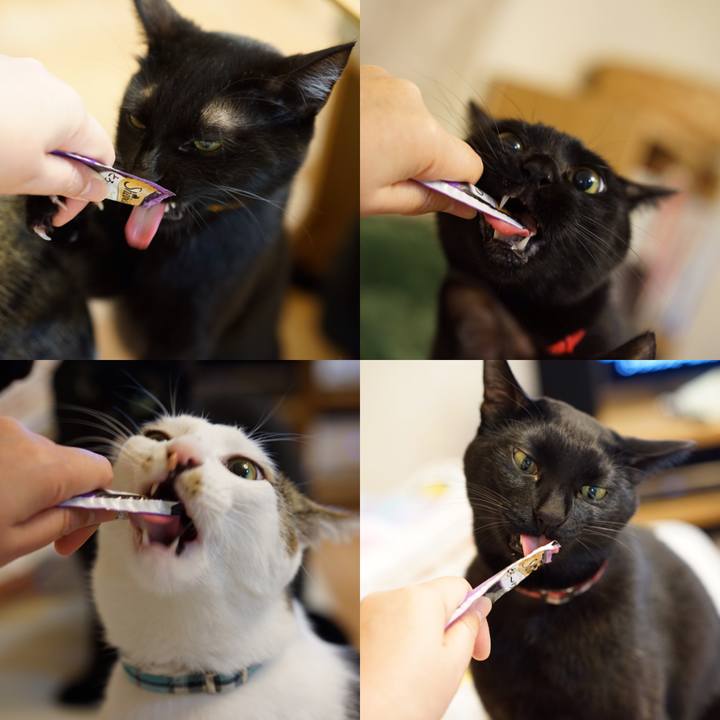 8adb7991 b561 49a7 8e1c aca567fcc53e 1548201573601