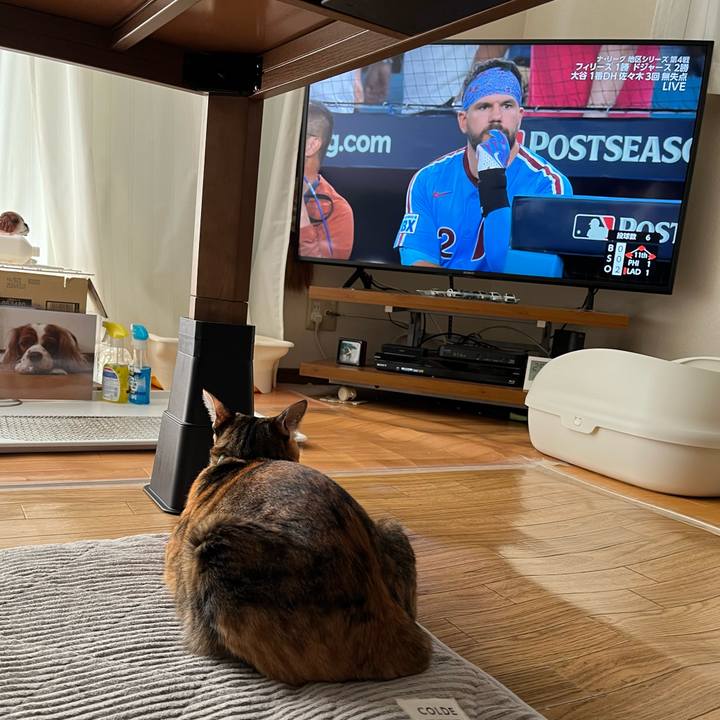 8adbb028 a805 4c4a 8f26 0387cb9f6b58 1760060349983