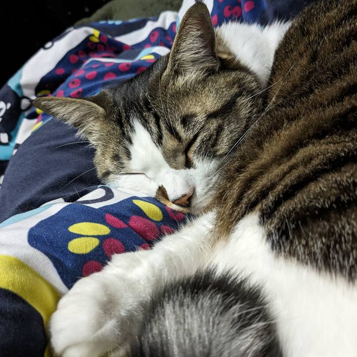 8adbbcd3 ab66 4347 9595 990b40c50f5f 1710243963555