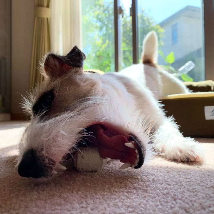 8adbd7b0 18c2 49ba b590 23b20307134b 1571802817428