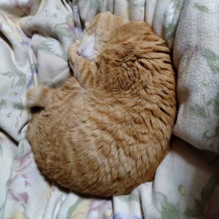 8adbdea4 da91 4d08 b23c e2e4ea37606f 1677589104996