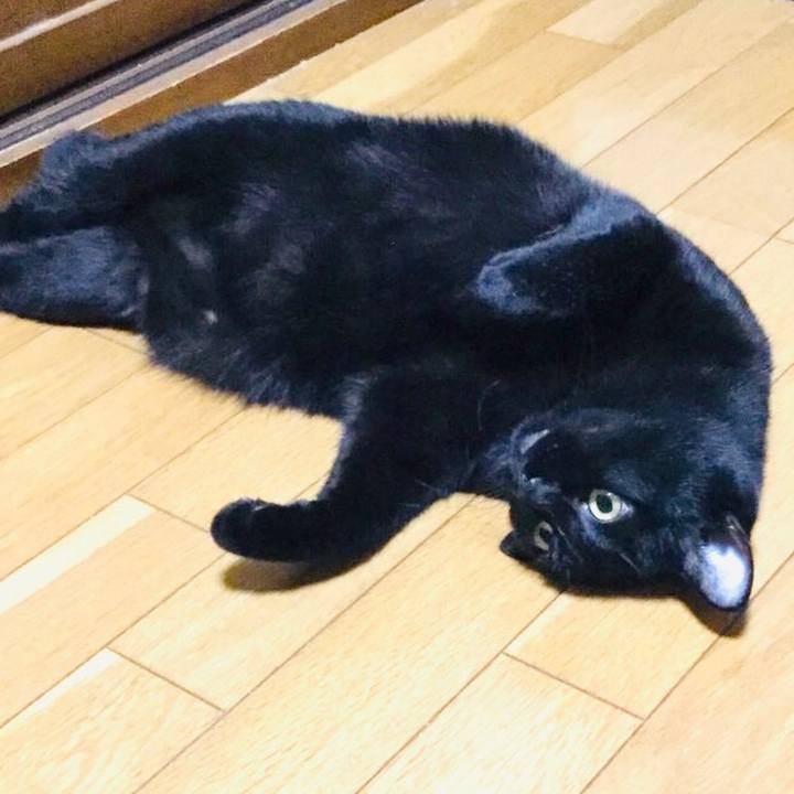 8adc044a 152d 40fa a2fc 8257d9ea5d95 1633417211440